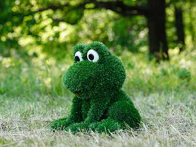 Топиари Лягушка - газон Eco