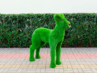 Топиари олень, малыш Карри - газон Premium