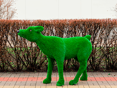 Топиари олень, малыш Том - газон Eco