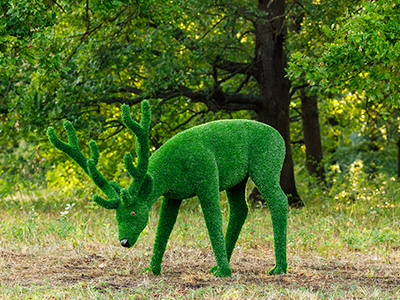 Топиари олень, пасется - газон Eco