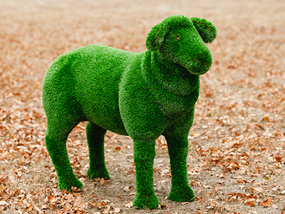 Топиари овечка Молли - газон Deluxe