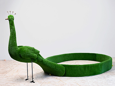 Топиари Павлин клумба - газон Eco