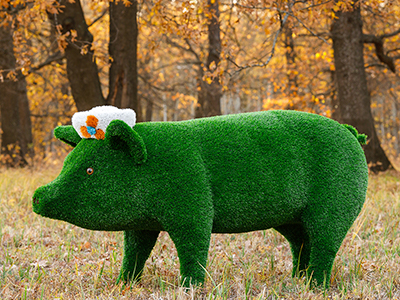 Топиари Поросенок в панаме - газон Eco