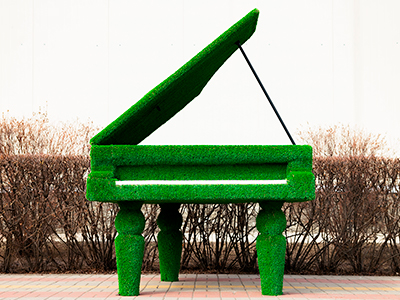 Топиари рояль Мариэля - газон Eco+