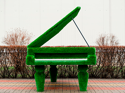 Топиари рояль с логотипом - газон Deluxe