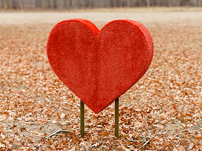 Топиари Сердце - газон Eco