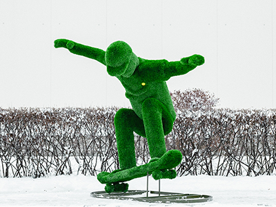 Топиари Скейтер - газон Eco Green