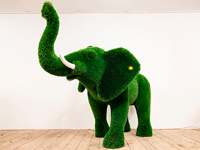 Топиари слон Абхей - газон Deluxe