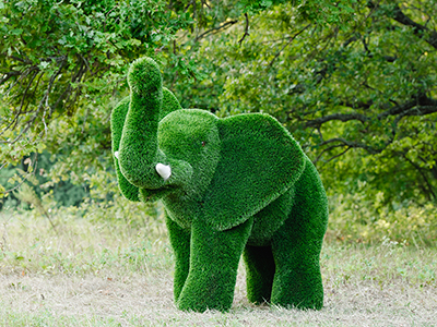 Топиари слон Лермон - газон Premium