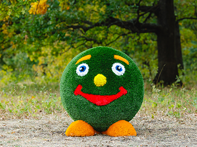 Топиари смайлик - газон Deluxe