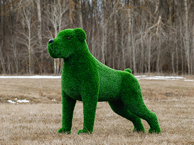 Топиари собака Баскервиль - газон Eco