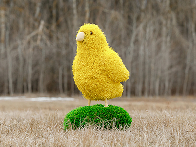 Топиари цыпленок Цыпа - газон Eco
