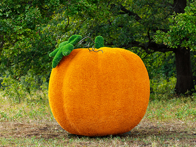 Топиари тыква - газон Eco