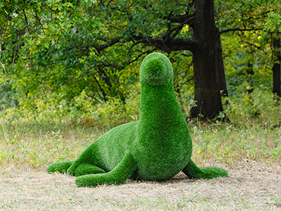 Топиари Тюлень с головой налево - газон Deluxe