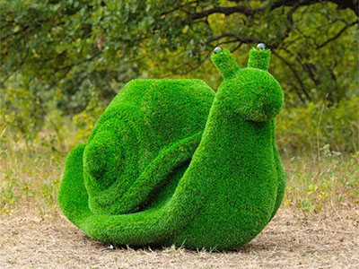 Топиари улитка, важная с кашпо - газон