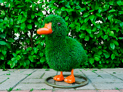 Топиари Утенок - газон Eco