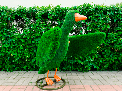 Топиари утка Кряк - газон Eco