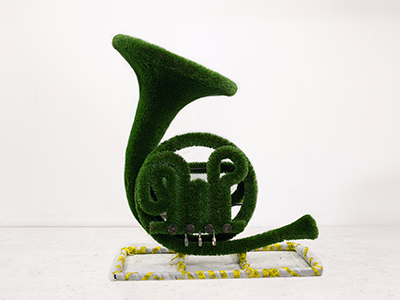 Топиари валторна - газон Deluxe