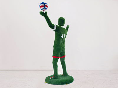 Топиари Волейболист - газон Есо