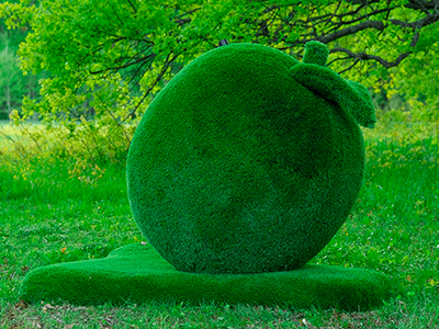 Топиари яблоко Гренни - газон Eco Green