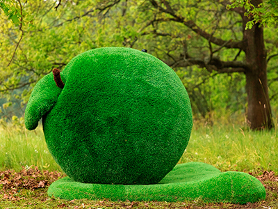 Топиари яблоко Синап - газон Eco Green