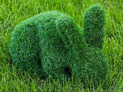 Топиари зайчик Лили - газон Eco
