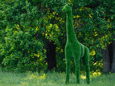 Топиари Жираф большой, модель 1 - газон Premium