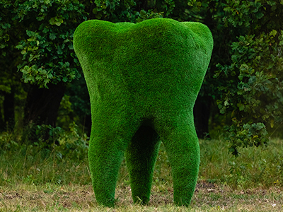 Топиари зуб - газон Eco