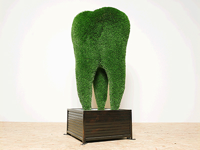 Топиари зуб ЗуБ’Ок, маленький - газон Deluxе