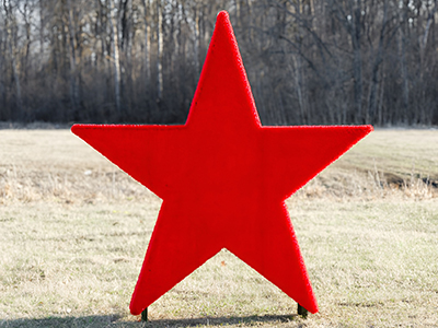 Топиари Звезда - газон Eco