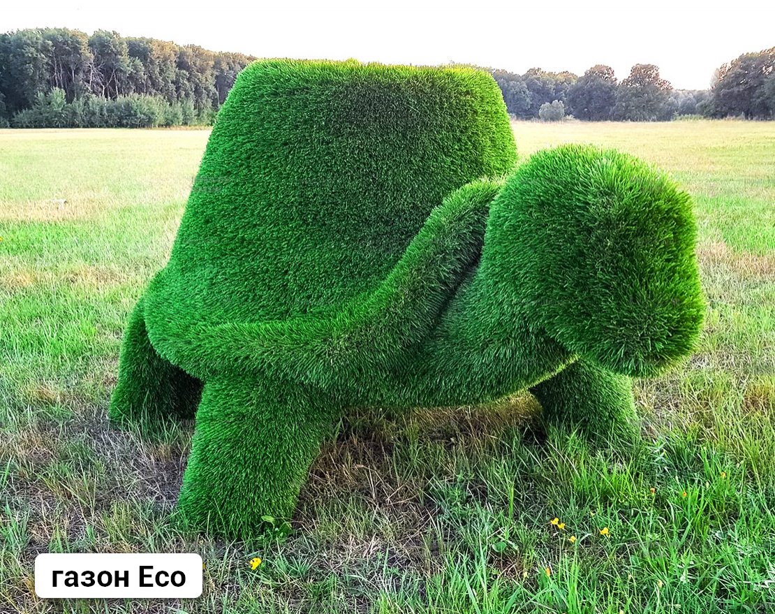 Топиари Черепаха с кашпо, Мудрая