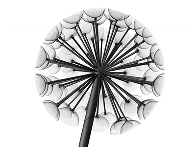 Фонарь уличный Данди 4м/1000