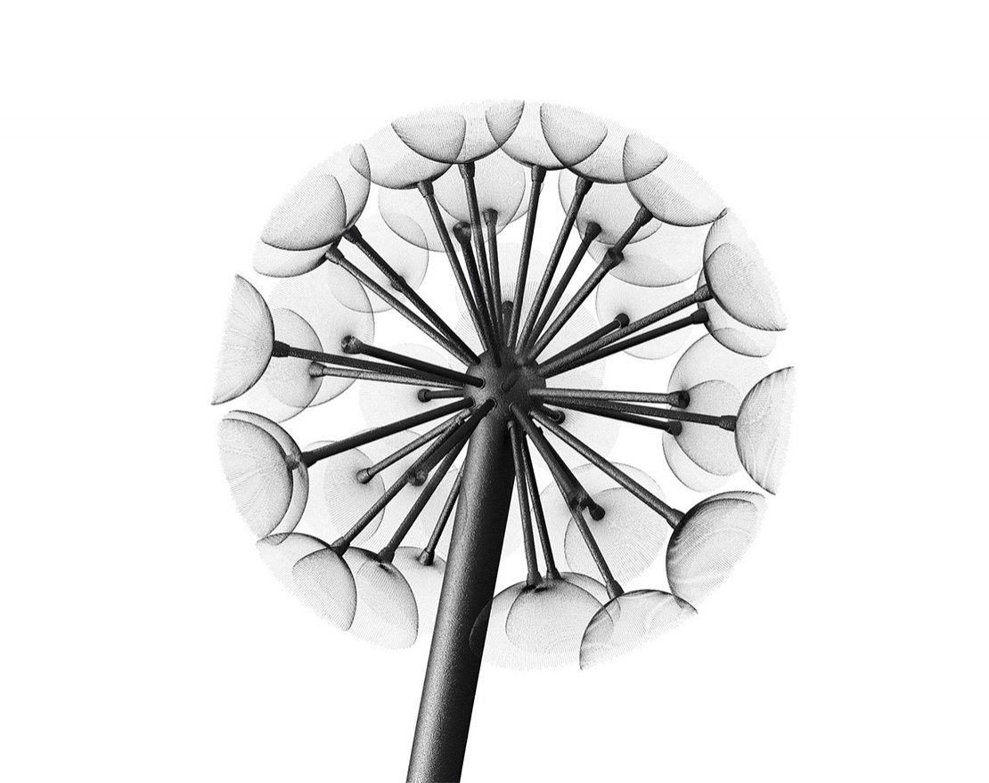 Фонарь уличный Данди 3м/800 (комплект) - вид 4