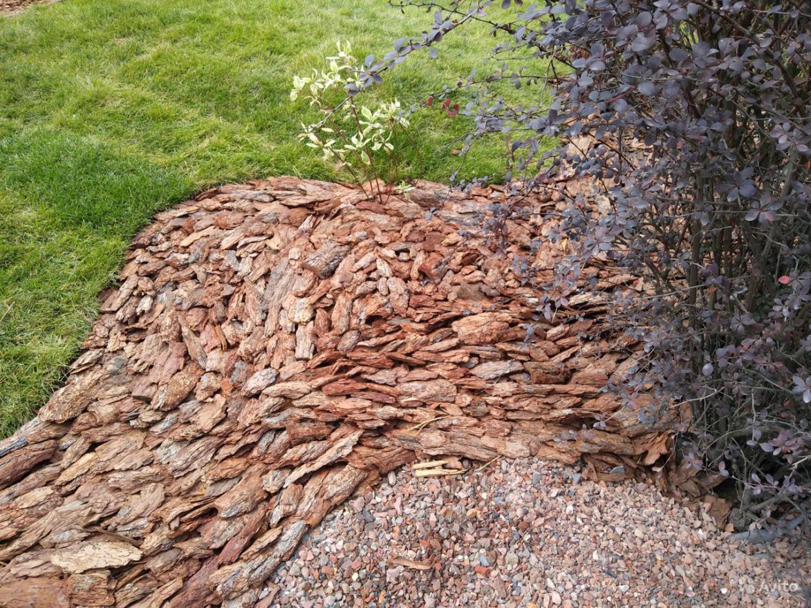 Кора сибирской лиственницы средняя 2-5 см - вид 4