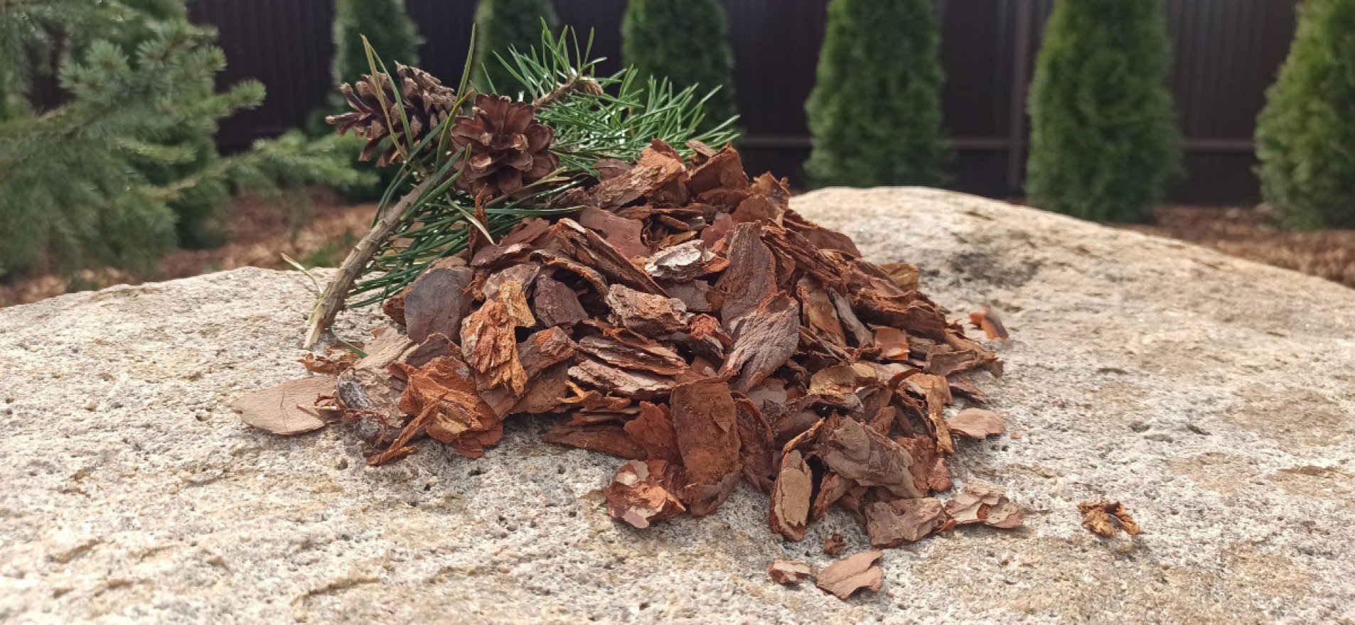 Кора сибирской лиственницы средняя 2-5 см - вид 5