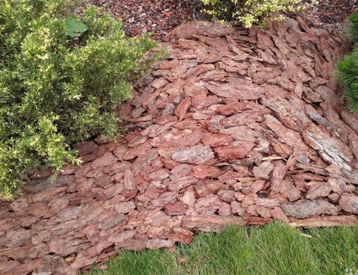 Кора сибирской лиственницы оптима 2-8 см - вид 3