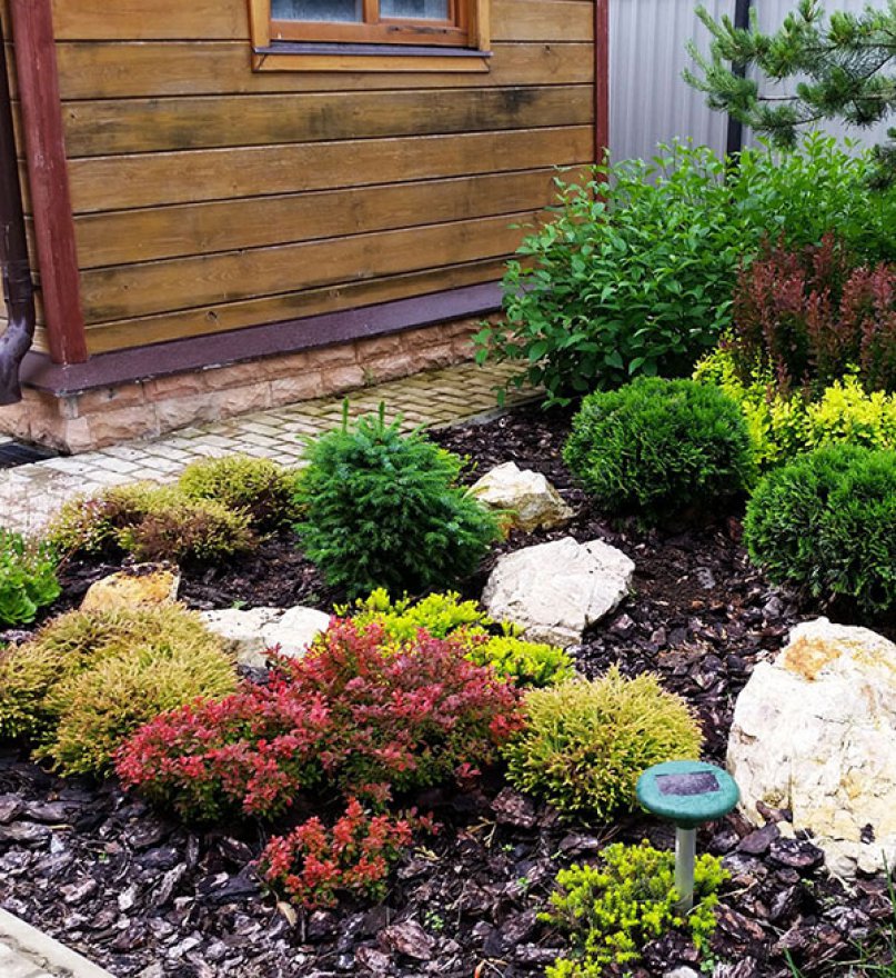 Кора сосны гумус 1 см - вид 3