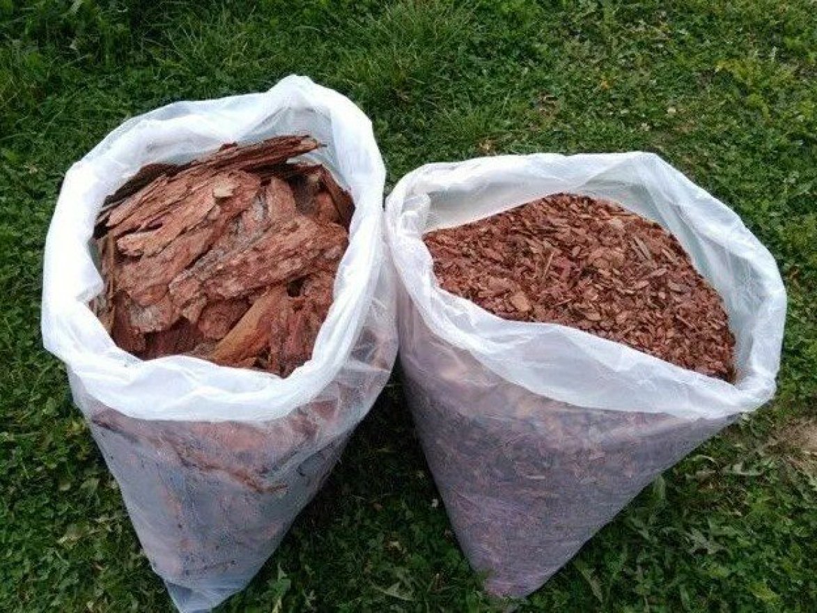 Кора сосны большая 10 см - вид 4