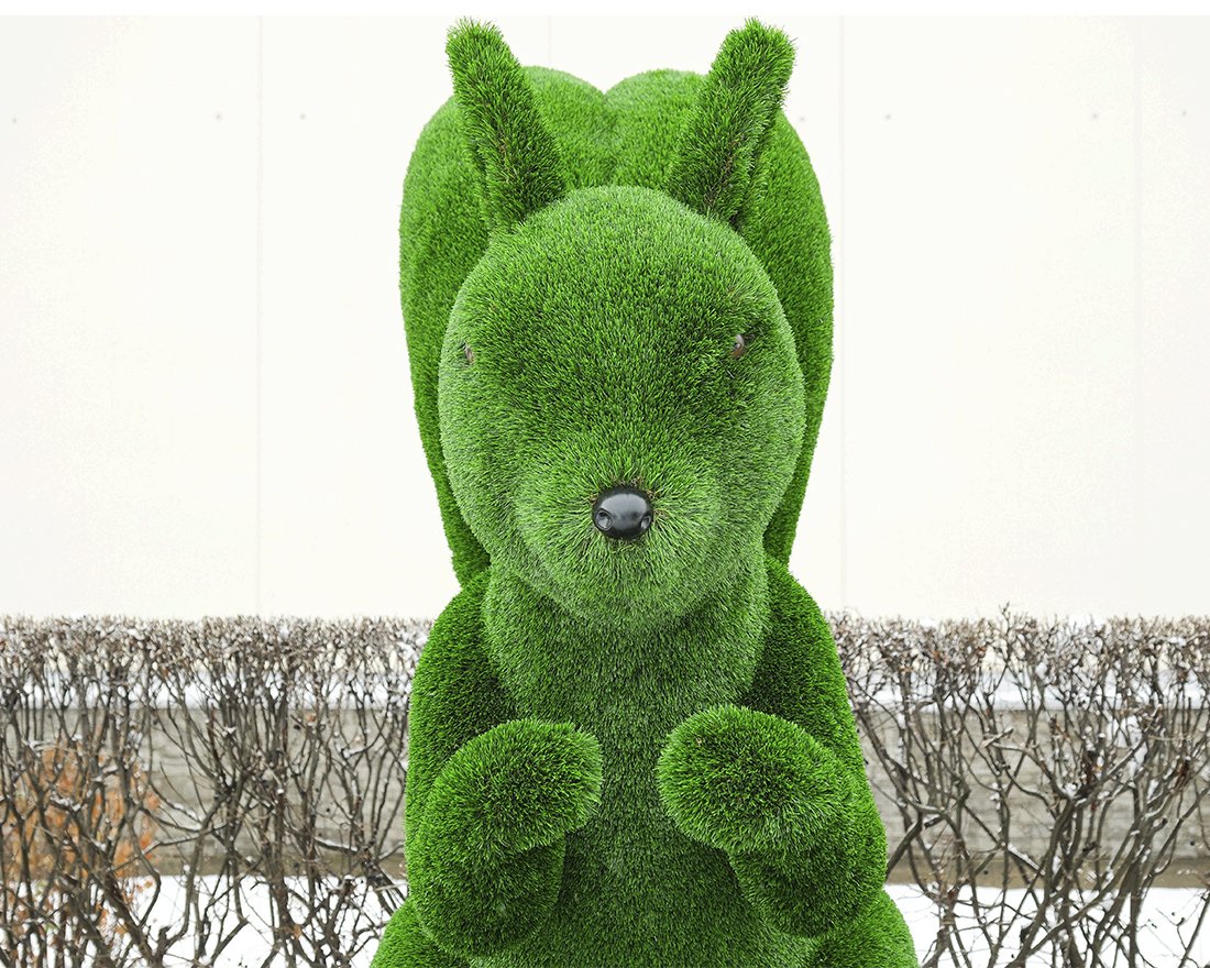 Топиари белка Роза - газон Deluxe - вид 3