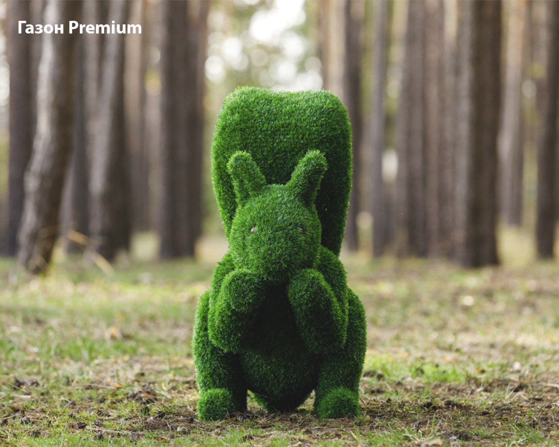 Топиари Белочка - газон Eco - вид 4