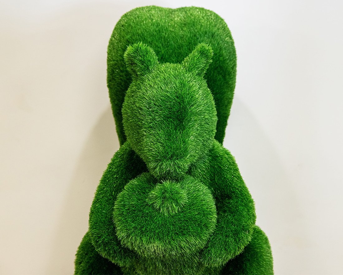 Топиари белочка с орехом Джеси - газон Eco - вид 3