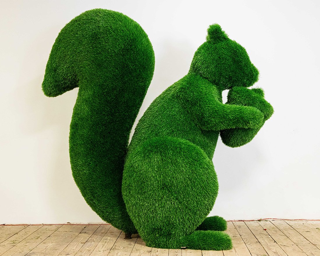 Топиари белочка с орехом Джеси - газон Eco - вид 5