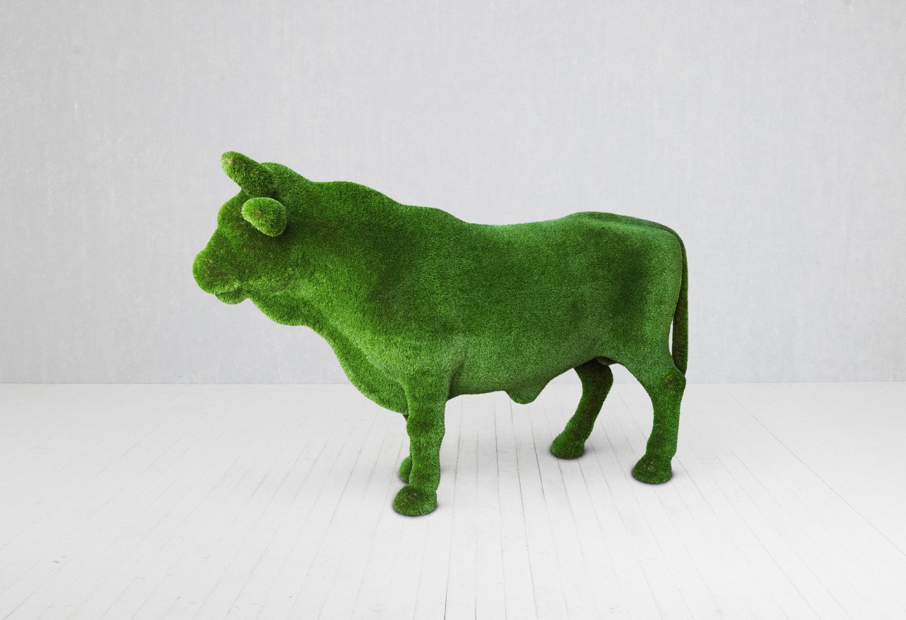 Топиари Бык племенной - вид 4