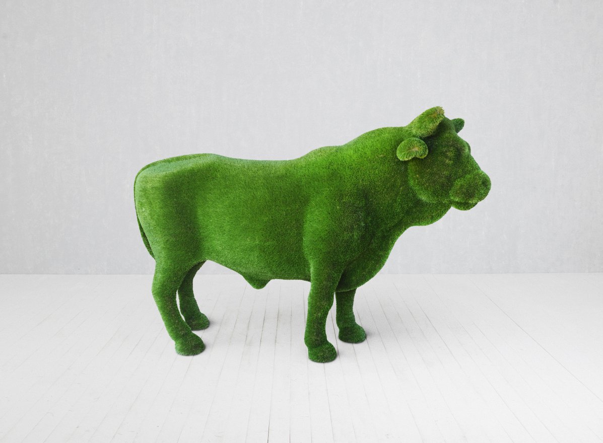 Топиари Бык племенной - вид 5