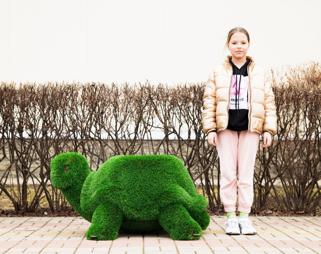 Топиари Черепаха с кашпо - вид 3