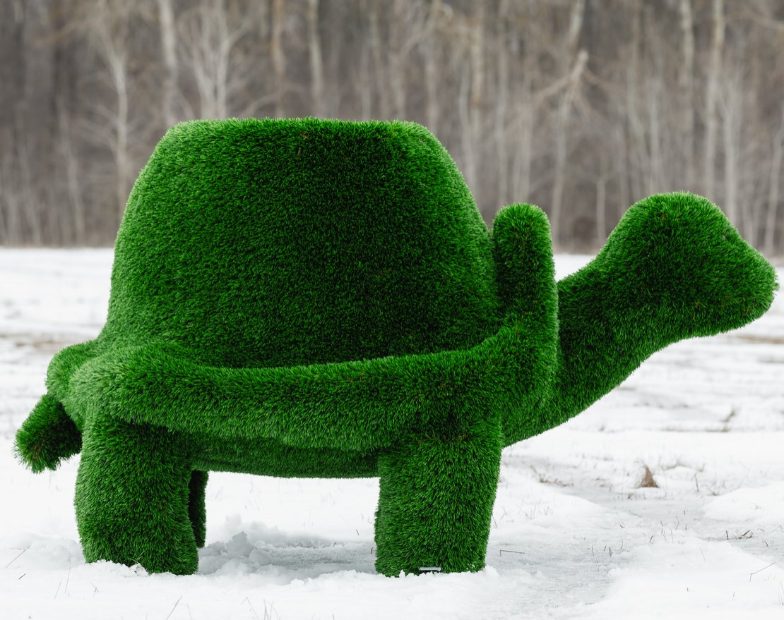 Топиари Черепаха с кашпо, Мудрая - вид 3