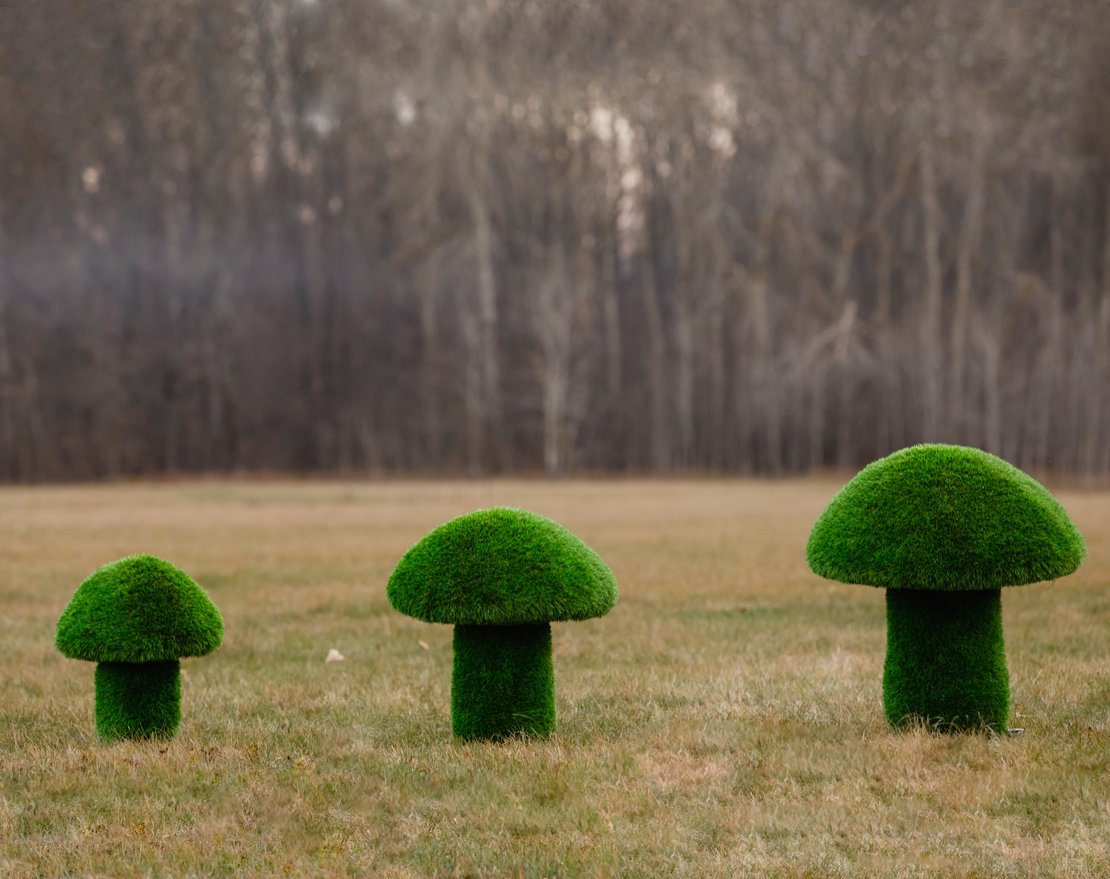 Топиари Гриб белый, размер S - вид 3