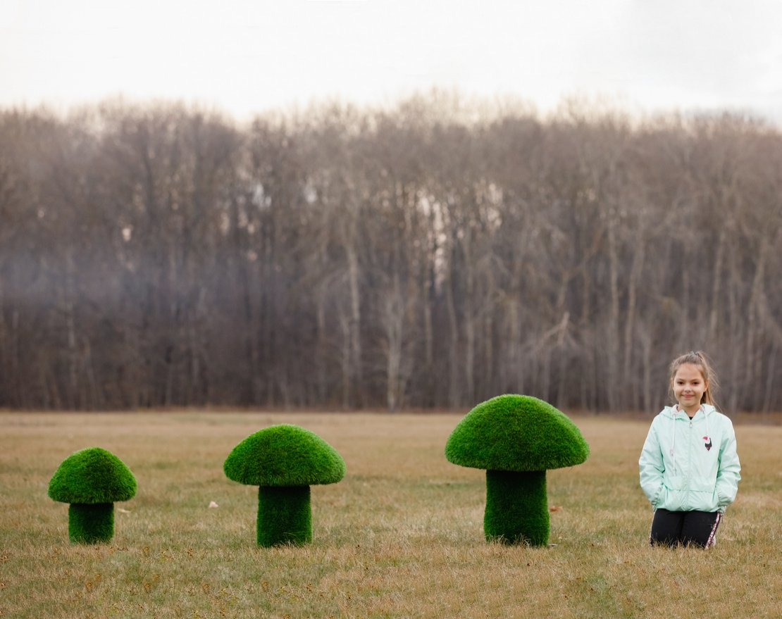 Топиари Гриб белый, размер S - вид 4