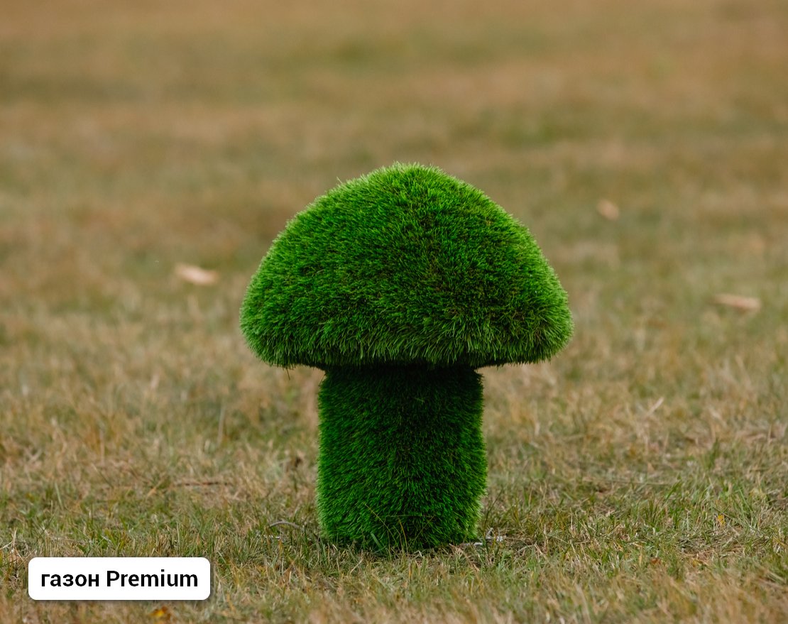 Топиари Гриб белый, размер S - вид 5