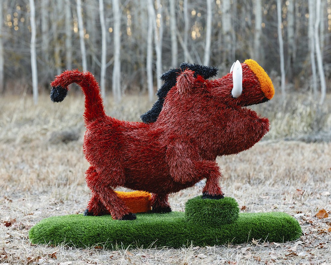 Топиари кабан Валери - газон Deluxe + Eco - вид 3